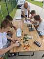 20260603-whatsapp image 2026-05-21 at 13